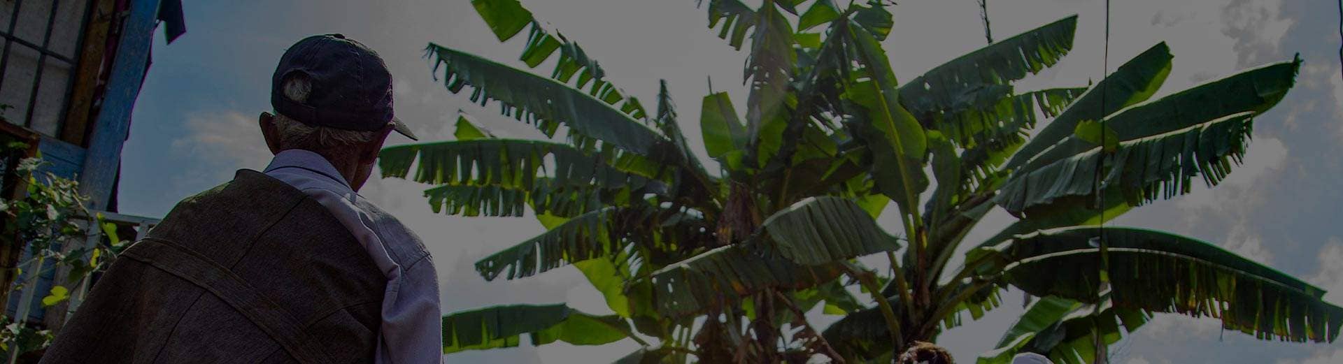 donate_banner